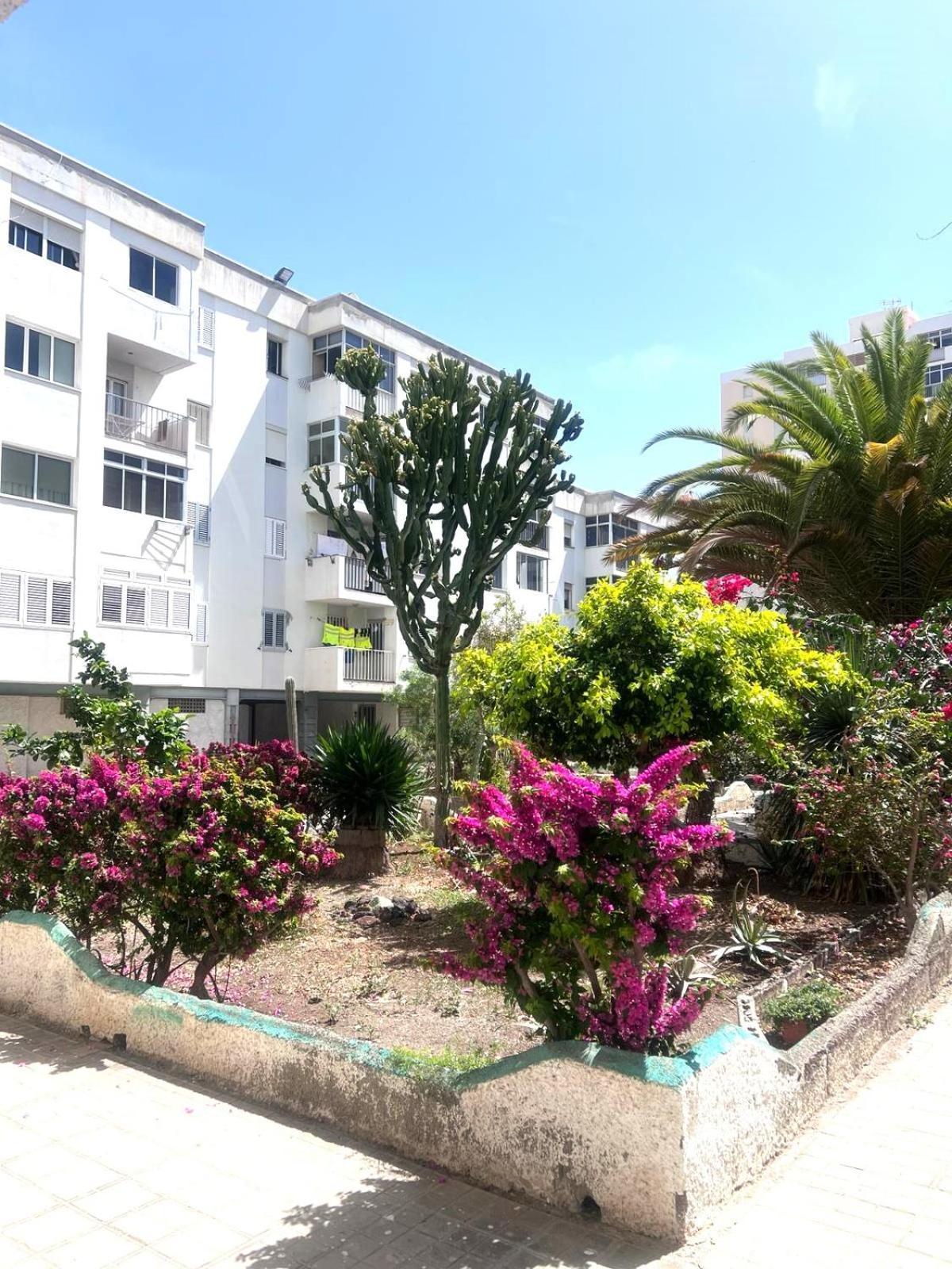 Relax Apartamento 5 Λας Πάλμας ντε Γκραν Κανάρια Εξωτερικό φωτογραφία
